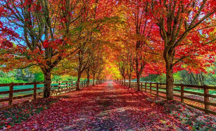 October Musings – Awaken the Senses
